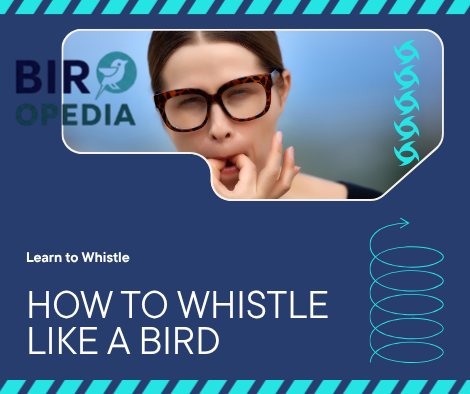 How to Whistle Like a Bird With Your Mouth