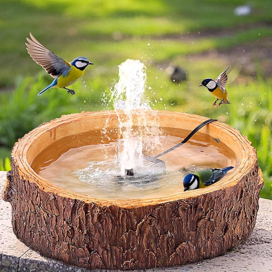A Bird Fountain in a Garden