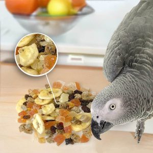 A Bowl of Fruit for an Amazon Bird