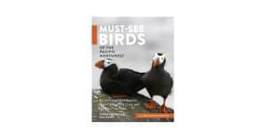 A Sea Bird in the Forest Book Review