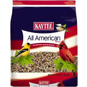 Affordable Bird Seed