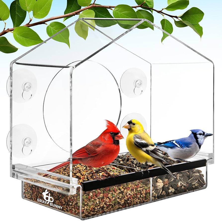 Are Window Bird Feeders Any Good