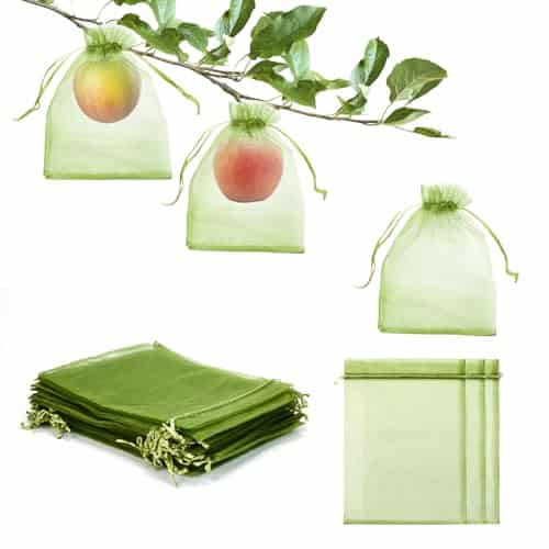 Bags to Protect Fruit from Birds