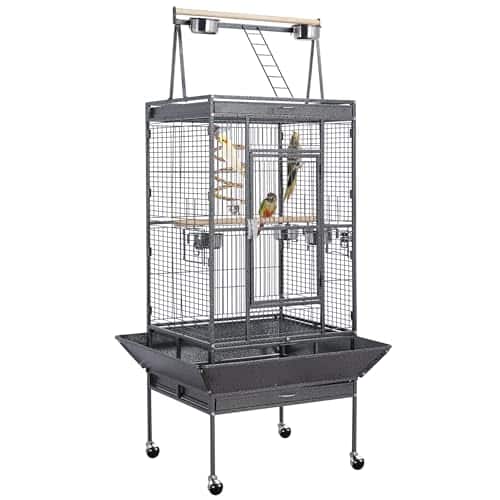 Best Bird Cage for Parrots