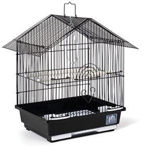 Best Bird Cages for Parakeets
