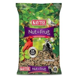 Best Fruit for Pet Birds