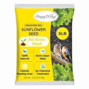Best Seed to Attract Birds