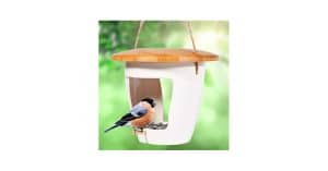 Biodegradable Window Bird Feeders