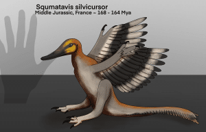 Bird Alternative
