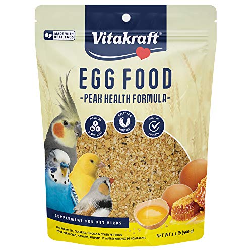 Bird And Egg