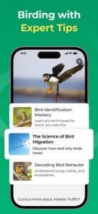 Bird App Reviews