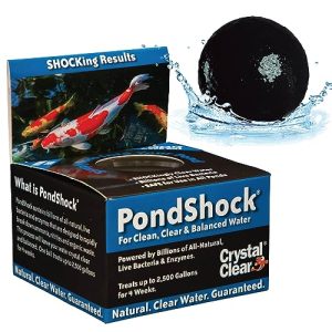 Bird Balls for Ponds