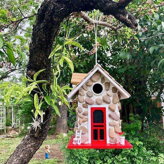 Bird Boxes to Attract Birds