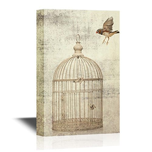 Bird Cage Artwork