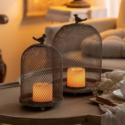 Bird Cage Cloche