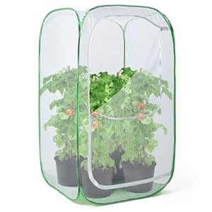 Bird Cage for Garden