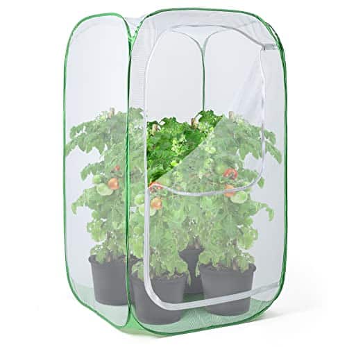 Bird Cage for Garden