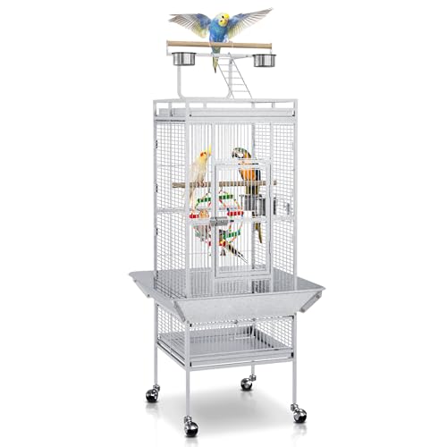 Bird Cage With Seed Catcher