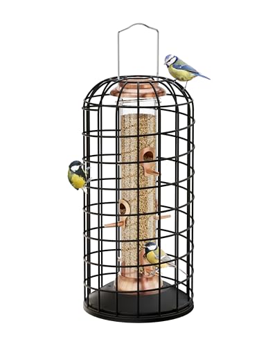 Bird Feeder With Cage