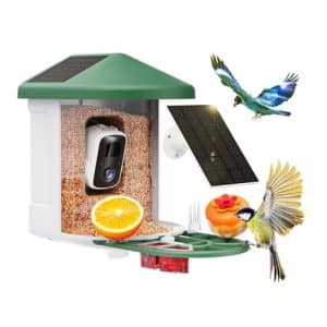 Bird Feeder With Camera