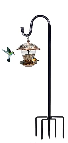 Bird Feeder With Pole