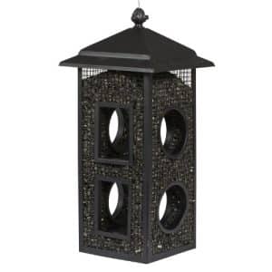 Bird Feeders for Sunflower Seeds