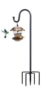 Bird Feeding Plants for Backyard