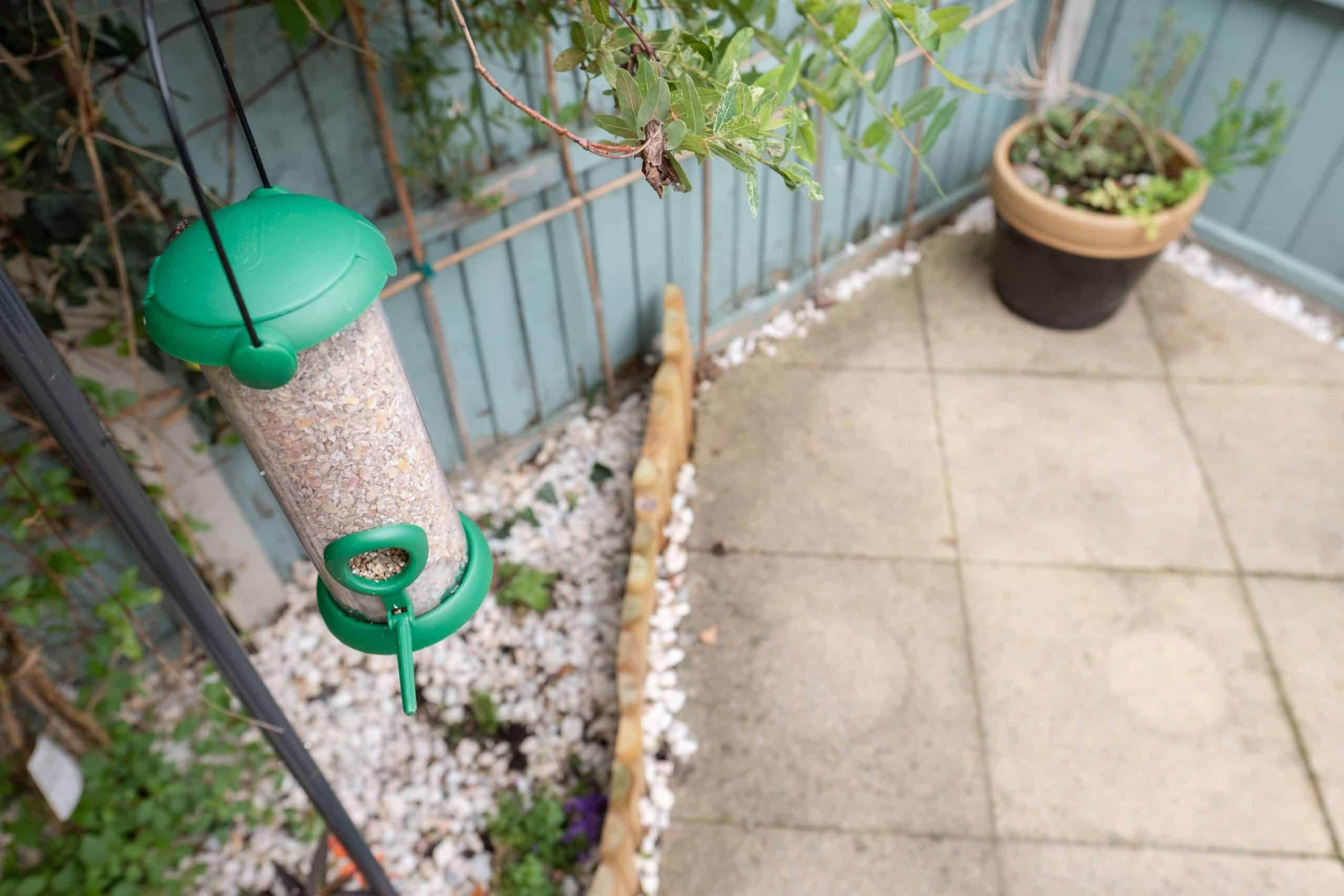 Bird Friendly Backyard Ideas