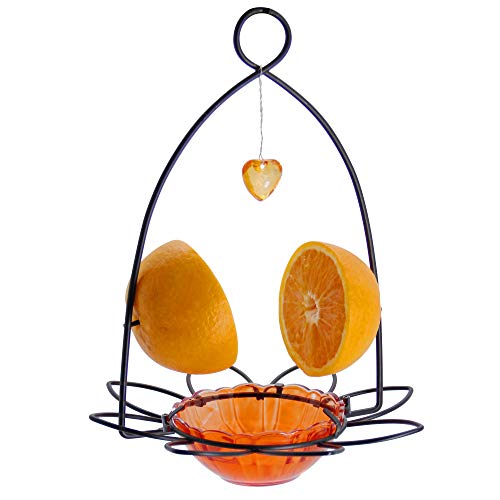 Bird Fruit Feeder