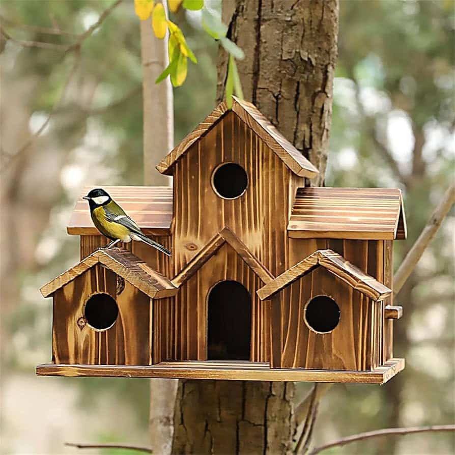 Bird Houses to Attract Birds