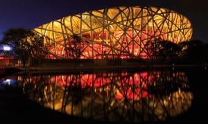 Bird Nest Tours