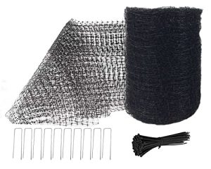 Bird Netting on House