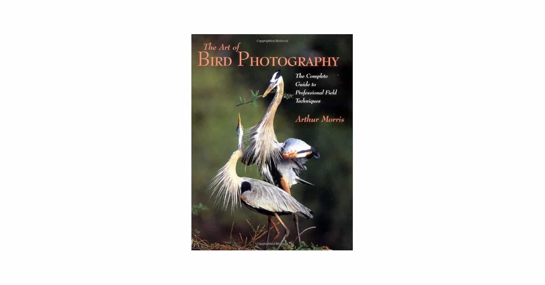 Bird Photography Guide