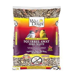 Bird Seed Squirrel Proof