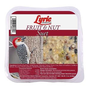 Bird Suet Fruit And Nuts