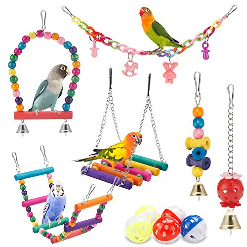 Bird Toys for Cages