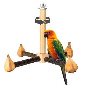 Bird Toys for Conures