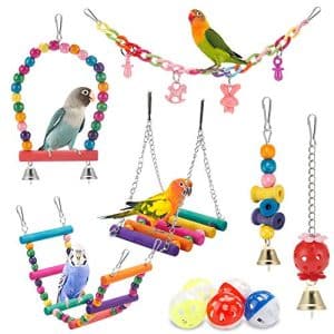 Bird Toys for Small Birds