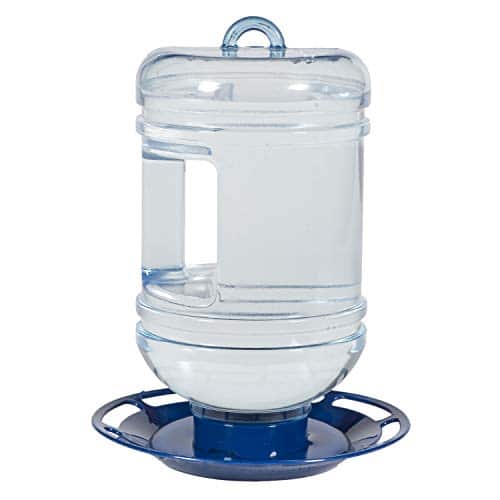 Bird Water Feeder