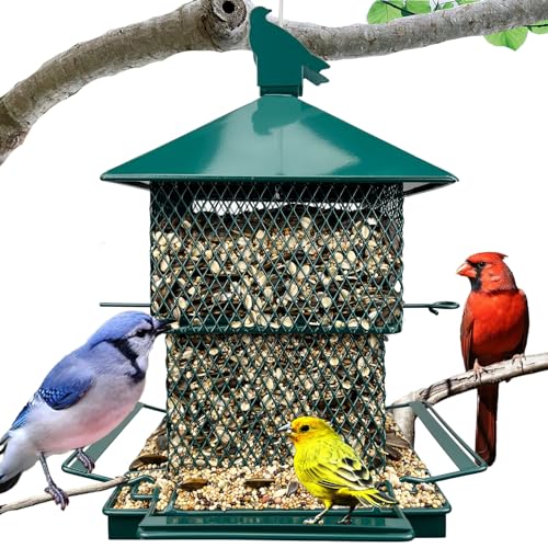 Blue Jay Bird Feeder