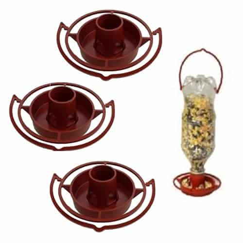 Bottle Bird Feeder