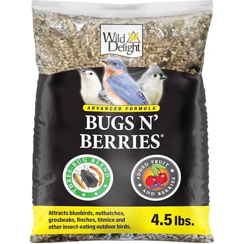Bugs And Berries Bird Food