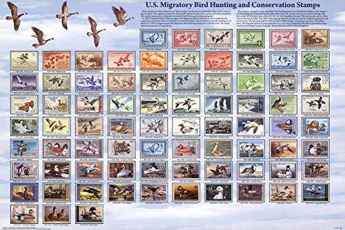 Buy Federal Migratory Bird Stamp Online