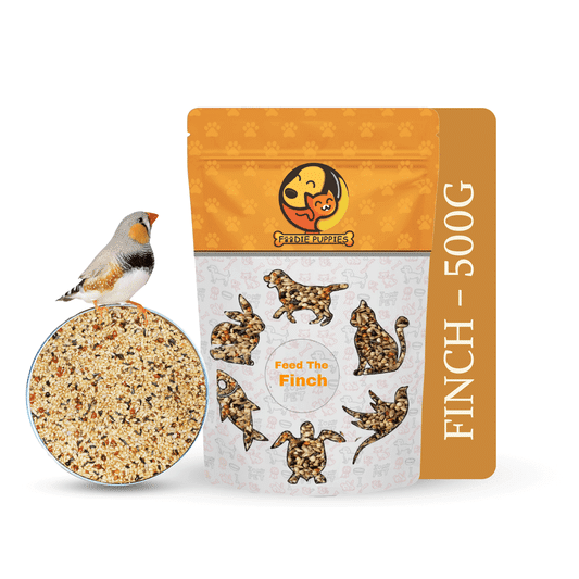 Can Dogs Eat Bird Seed