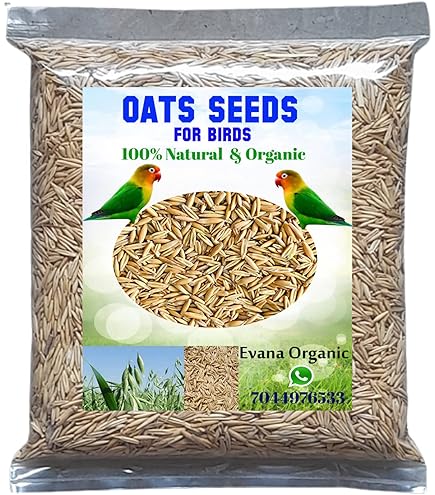 Can Oats Attract Birds