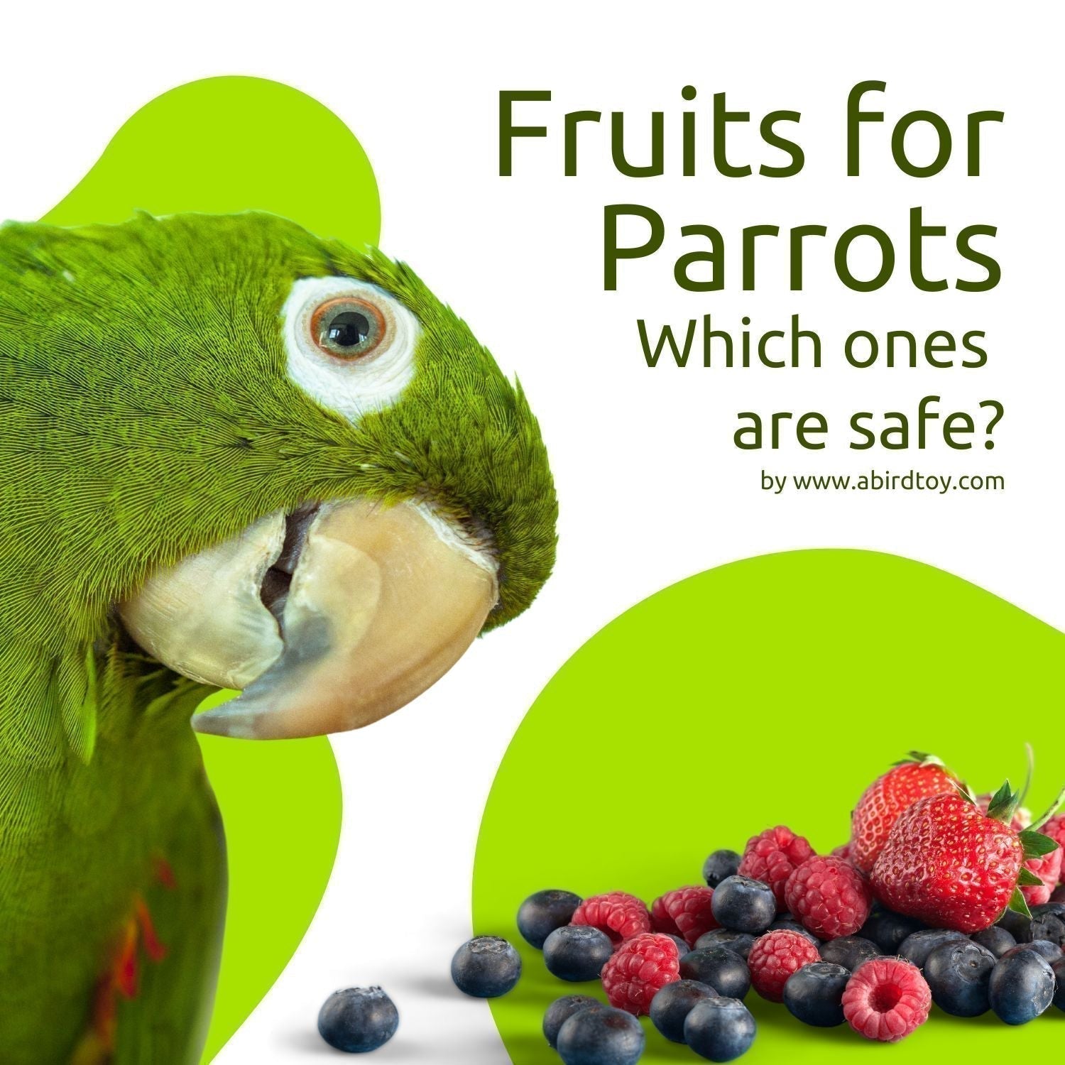 Can You Feed Your Bird Vegetable And Fruit Everyday