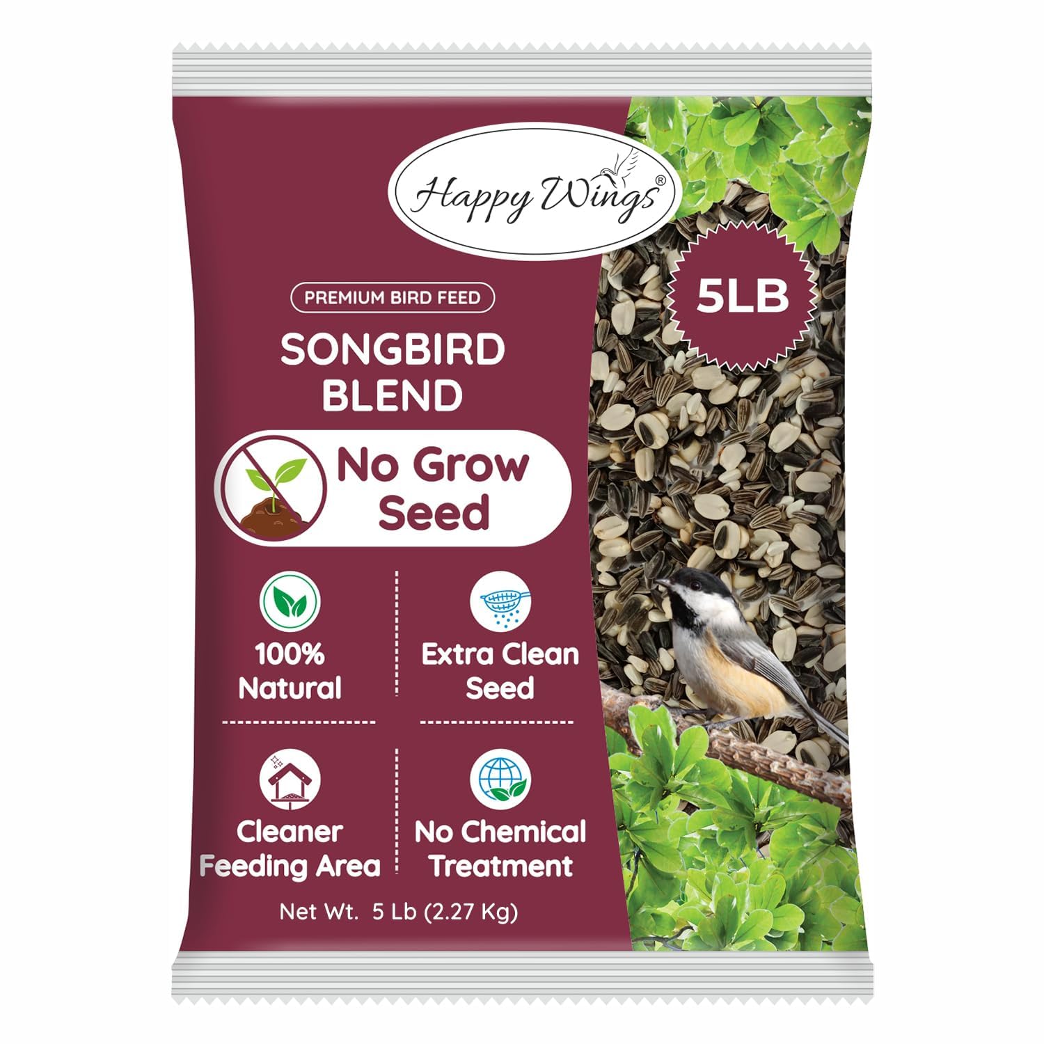 Can You Plant Safflower Bird Seed