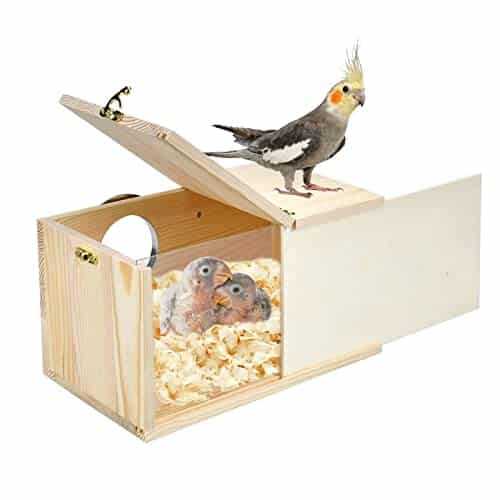 Cockatiel Bird Nest Box