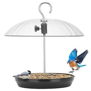 Covered Bird Feeding Station