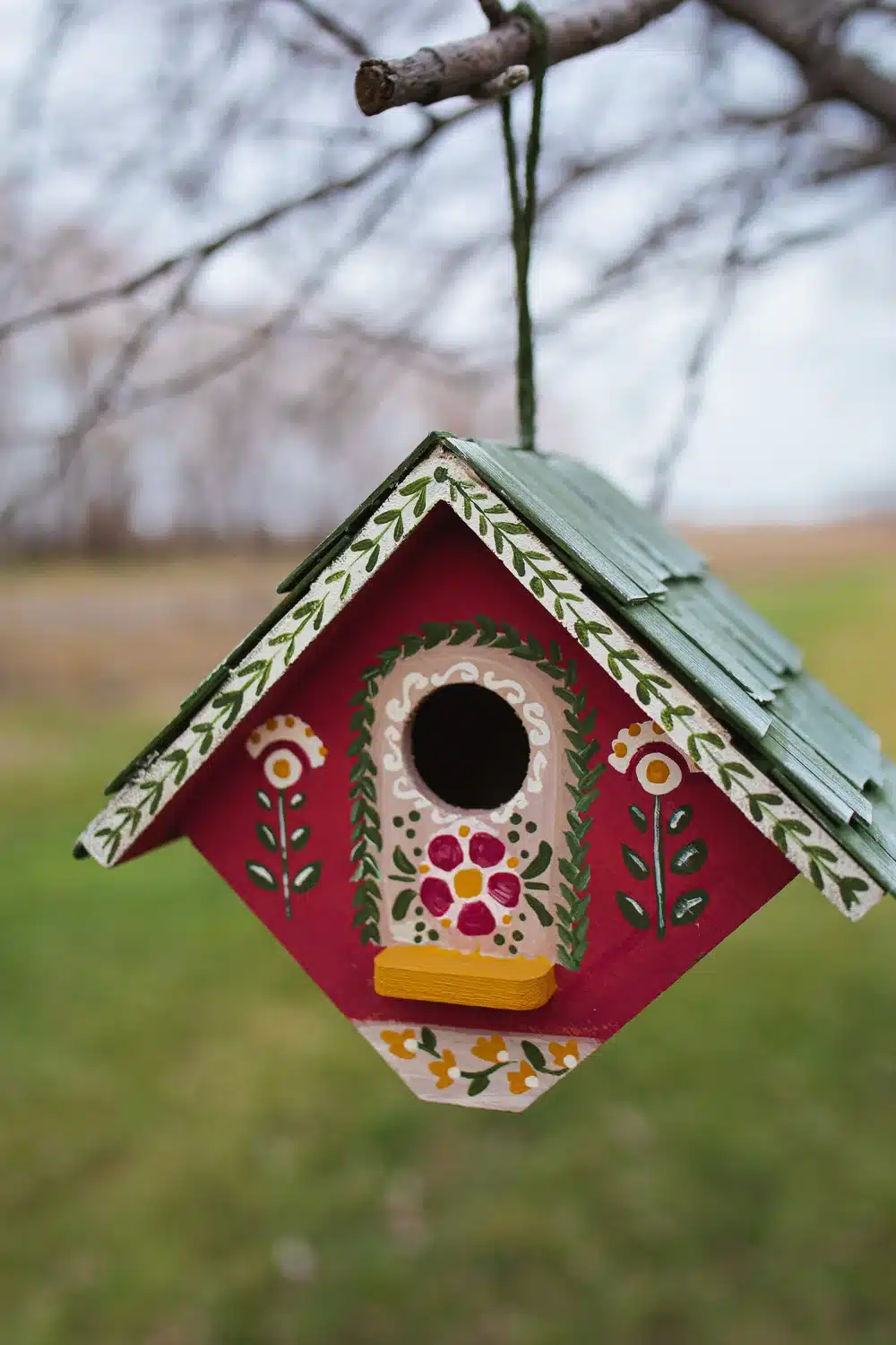 Creating Bird Habitat at Home